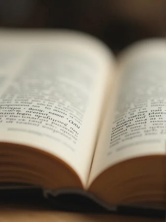 What I'm Reading: 5 Behavior Books That Changed How I See Dogs